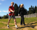 sitraact740070_136174_nordicwalkingweb.jpg