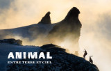 Projection du film 