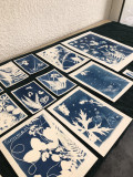 Cyanotype