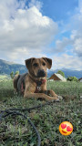 Les Marmottons_Lans-en-Vercors