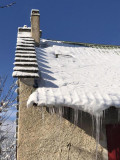 sauts de moineaux