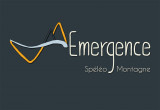 Logo fond gris Emergence
