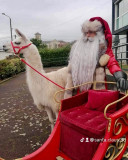 Père Noël à la station_Lans-en-Vercors