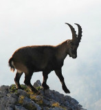 Au fil des lumières- David Boudin