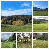 L'environnement immédiat du chalet