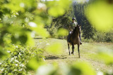 Balade à cheval