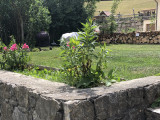 img_5197.jpeg