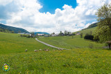 Vue du gîte sur les prés de l'exploitation