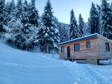 20231203_160307.jpg