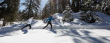 ski_fond_2.jpg