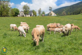 Le Gîte et ses environs printemps 2018