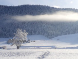 Environnement du gîte un matin d'hiver