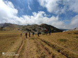 Marche nordique