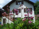 façade