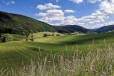meaudre paturage