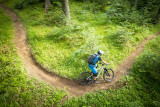 VTT