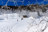 paysage hivernal
