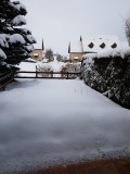 Jardin enneigé