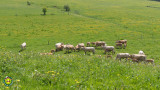 Vos voisines ;)