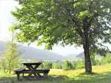 la terrasse donnant sur le jardin