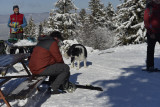 exploration du Vercors en raquettes