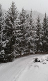 Chemin d'accès