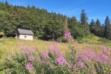 paysage