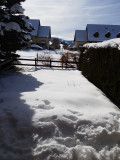 Jardin enneigé