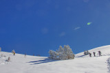 paysage hivernal