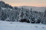paysage hivernal