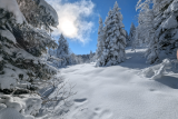 L’hiver en douceur au coeur du Vercors – Randonnée et SPA nordique_Autrans-Méaudre en Vercors