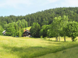 vue du chalet dans son environnement