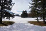 _lv_images__lot_0003590872_11_1537044