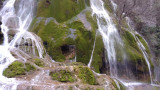 exploration-vercors-sauvage-11-nature-vercors-507384