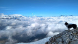 exploration-vercors-sauvage-4-nature-vercors-507379