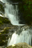 exploration-vercors-sauvage-9-507385
