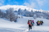 rando-nature-hiver-vercors-sauvage-0-696622