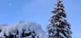 rando-nature-hiver-vercors-sauvage-1-2-696623