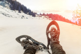 rando-nature-hiver-vercors-sauvage-10-696631