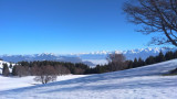 rando-nature-hiver-vercors-sauvage-4-696627