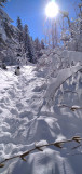 rando-nature-hiver-vercors-sauvage-5-696628