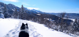 rando-nature-hiver-vercors-sauvage-8-696629