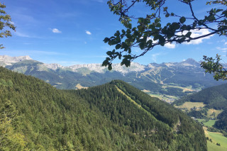 diapo_2_img_5104.jpg
