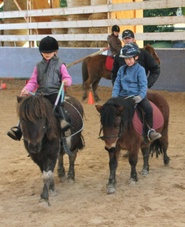 Balade à poney