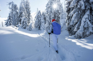 images_du_dos_jeune_randonneur_costume_ski_blanc_chapeau_aux_couleurs_vives_1268_19856.jpg