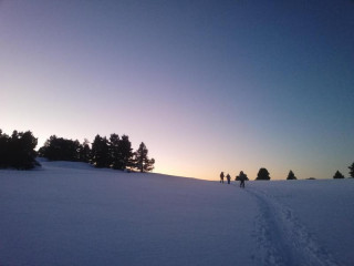 Paysage enneigé