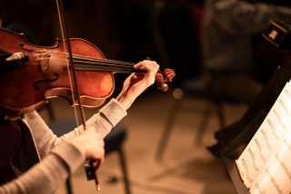 Violon