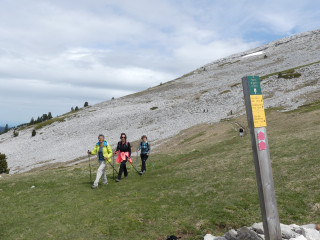 Marche nordique