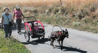 img_20170727_163900.jpg img_20170727_163900.jpg