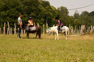 Animation poneys à Gève